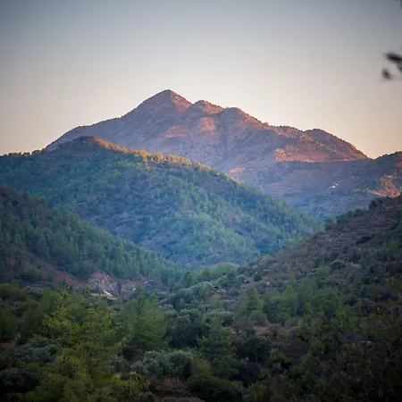 *2 Bdr Log House /mountains/queen Bed/fireplace בית נופש *