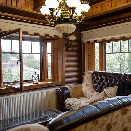 *2 Bdr Log House /mountains/queen Bed/fireplace Gourri