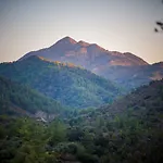 *2 Bdr Log House /mountains/queen Bed/fireplace Ferienhaus *