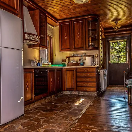 Case de vacanță *2 Bdr Log House /mountains/queen Bed/fireplace Gourri