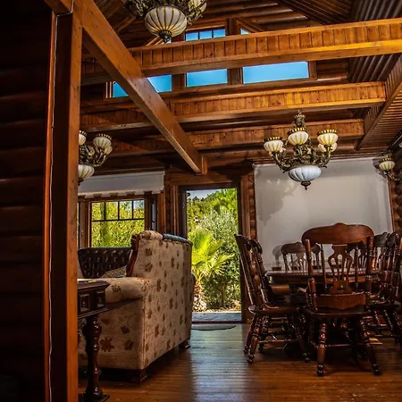 *2 Bdr Log House /mountains/queen Bed/fireplace Σπίτι διακοπών *